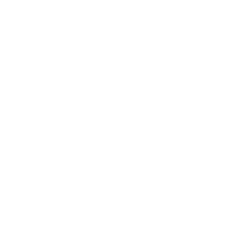 Control4 Logo White